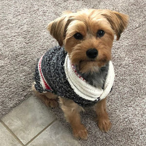 Meet your Posher, Tyler